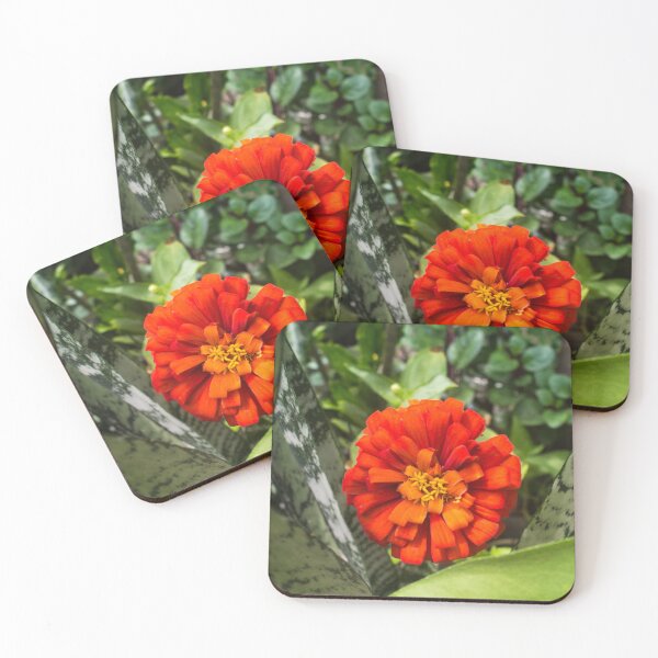 Item preview, Zinnia designed and sold by ROSE ANN BANILAR.