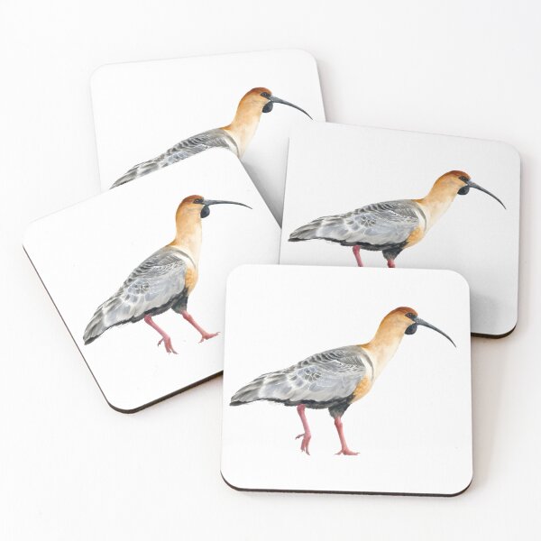 Item preview, Black-faced Ibis (Theristicus melanopis) designed and sold by HOMETOWN86.