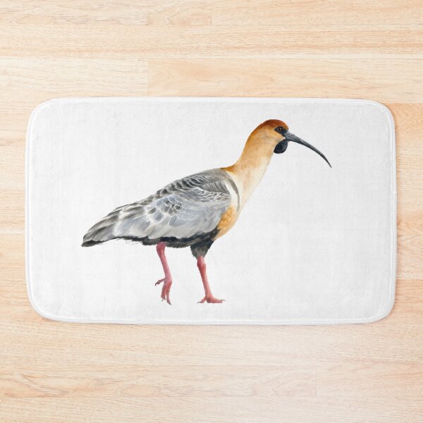Item preview, Black-faced Ibis (Theristicus melanopis) designed and sold by HOMETOWN86.