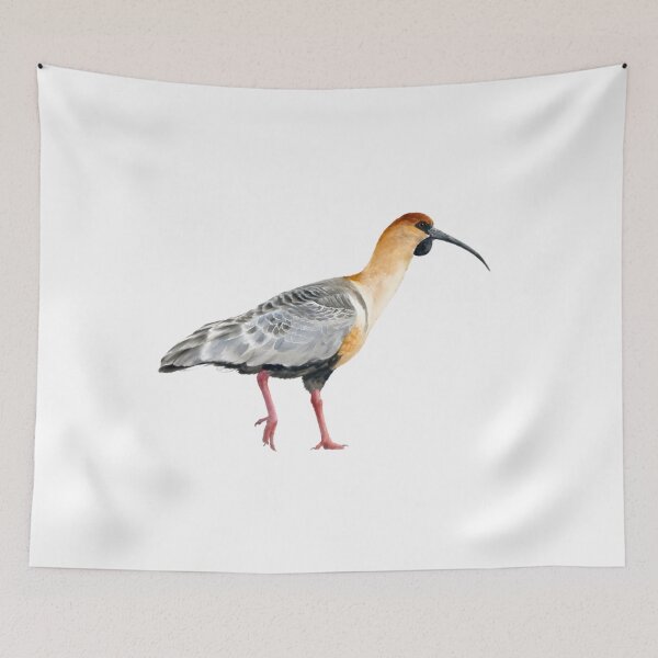 Item preview, Black-faced Ibis (Theristicus melanopis) designed and sold by HOMETOWN86.