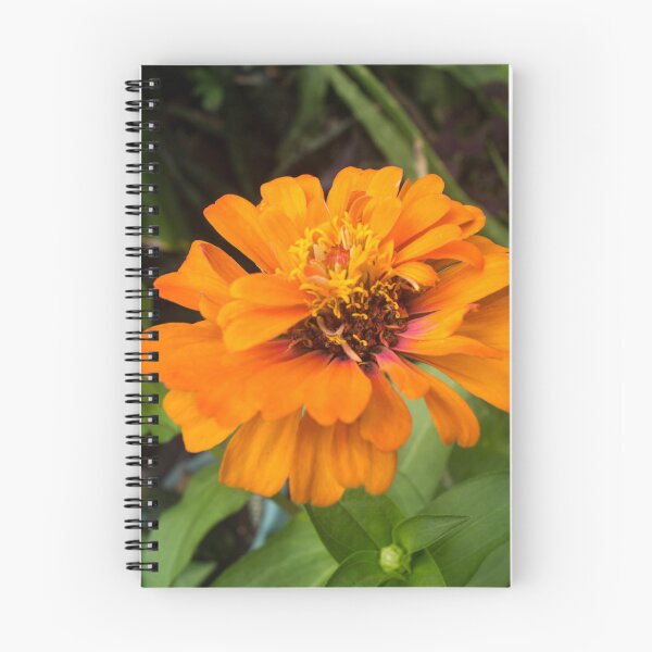 Item preview, Yellow Orange Zinnia designed and sold by ROSE ANN BANILAR.