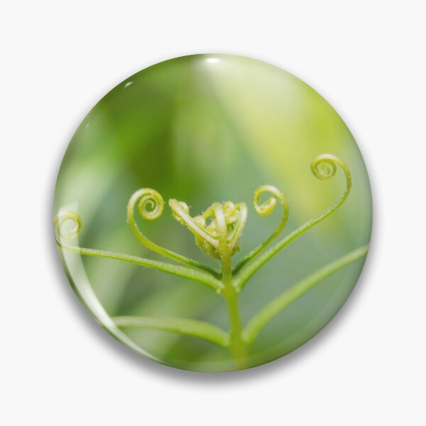 Item preview, Stenochlaena palustris designed and sold by ROSE ANN BANILAR.