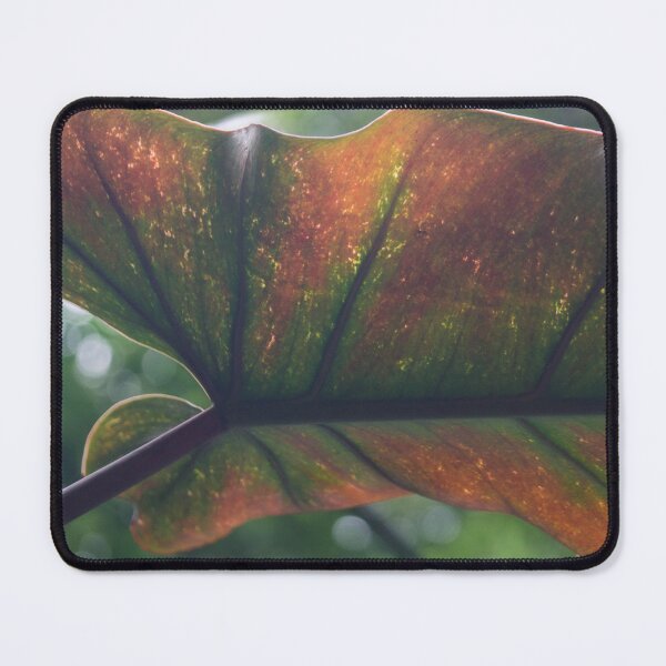 Item preview, Philodendron designed and sold by ROSE ANN BANILAR.