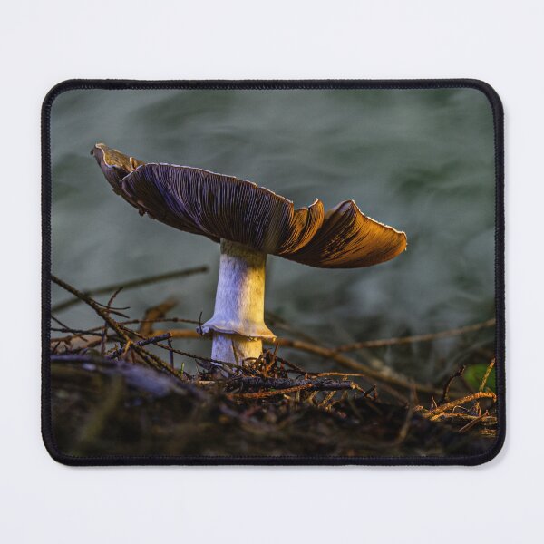 Item preview, Forest Floor Mushroom designed and sold by Twisted Light Images.