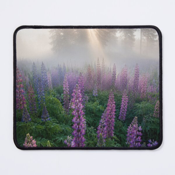 Item preview, Lupines meadow designed and sold by andreisky.