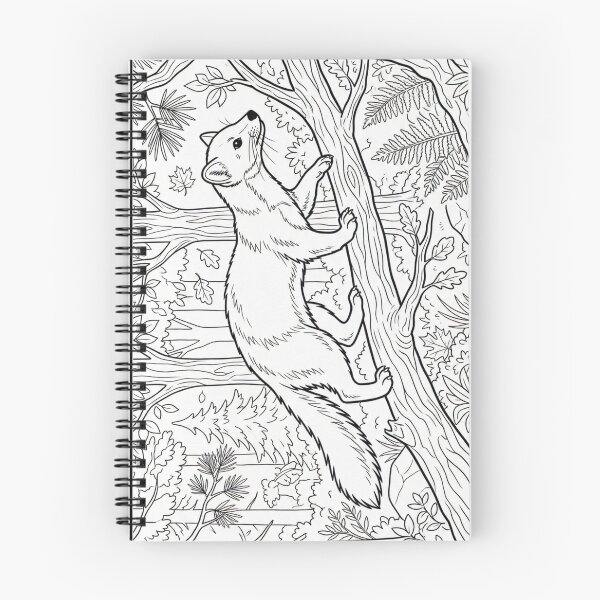 Item preview, Pine Marten Coloring Page | Scottish Wildlife Line Art designed and sold by Englandbear.