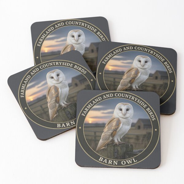 Item preview, BARN OWL   – FARMLAND AND COUNTRYSIDE BIRDS  designed and sold by The Digital Compass.