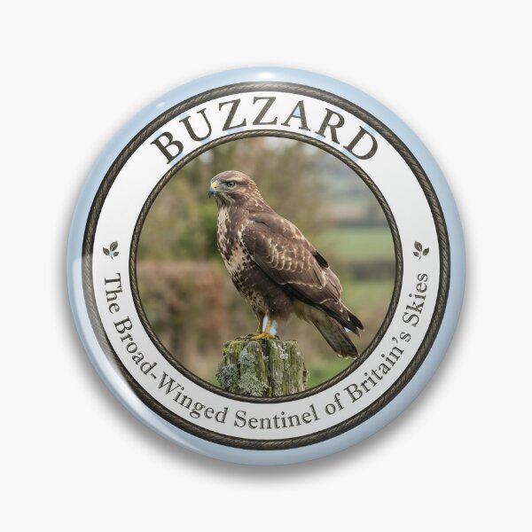 Item preview, BUZZARD   -- The Broad‑Winged Sentinel of Britain’s Countryside designed and sold by The Digital Compass.