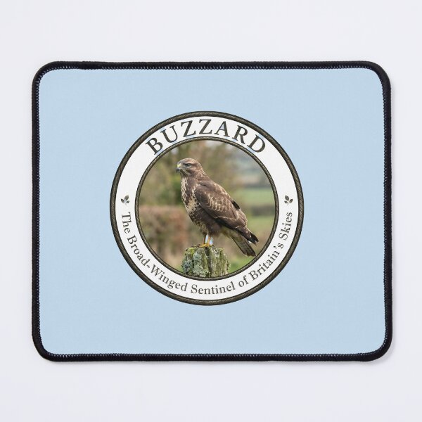 Item preview, BUZZARD -- The Broad‑Winged Sentinel of Britain’s Countryside designed and sold by The Digital Compass.