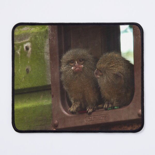 Item preview, Marmoset Friends designed and sold by KiraRebecca.