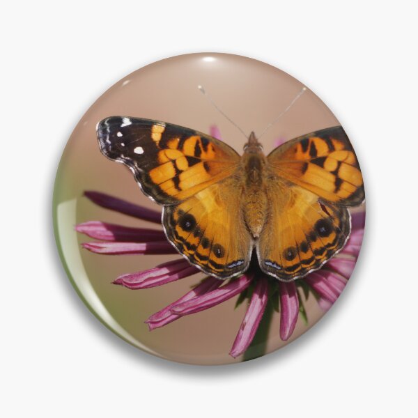 Item preview, American painted lady designed and sold by distracted.