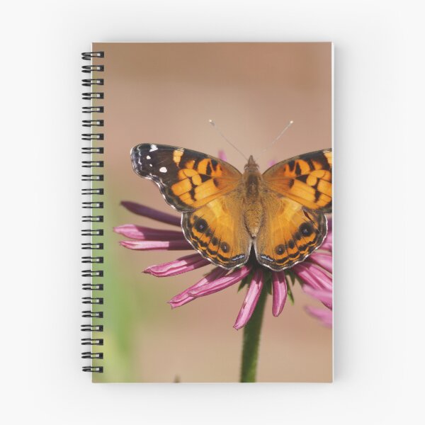 Item preview, American painted lady designed and sold by distracted.