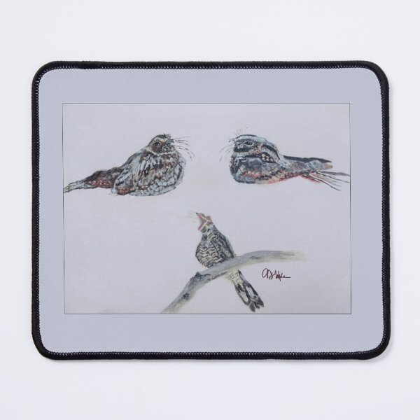 Item preview, Three Nightjars on Paper: Acrylic Painted designed and sold by Charlotte's Shop of Bird Stuff.