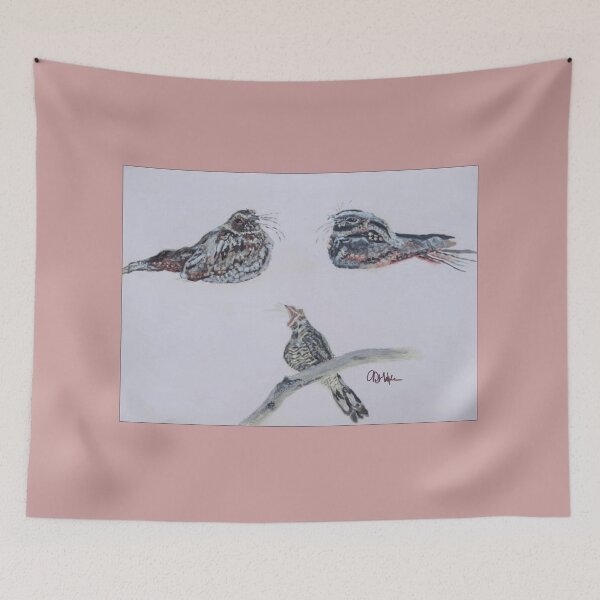Item preview, Three Nightjars on Paper: Acrylic Painted designed and sold by Charlotte's Shop of Bird Stuff.