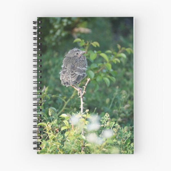 Item preview, perched fledgling designed and sold by distracted.