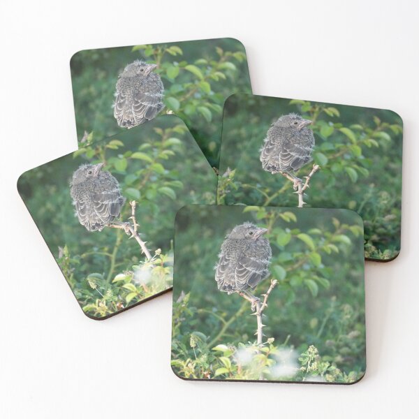 Item preview, perched fledgling designed and sold by distracted.