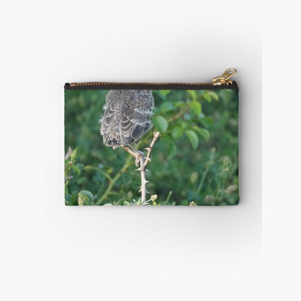 Item preview, perched fledgling designed and sold by distracted.