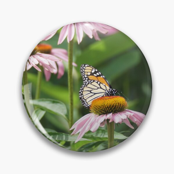 Item preview, monarch on cone flower designed and sold by distracted.