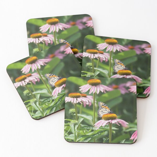 Item preview, monarch on cone flower designed and sold by distracted.