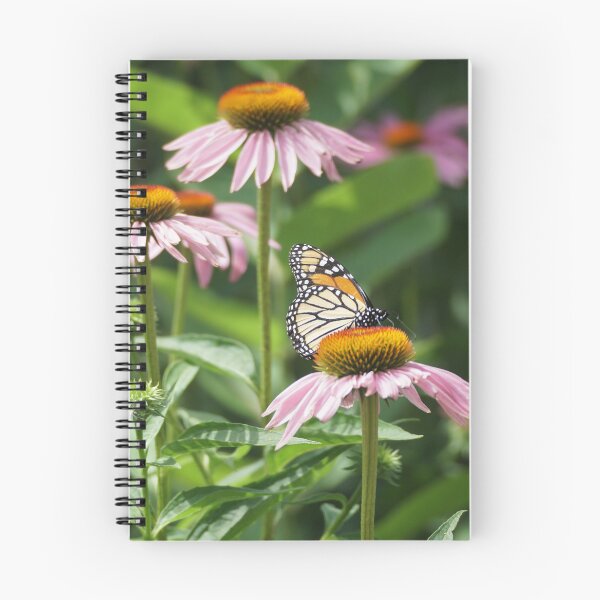 Item preview, monarch on cone flower designed and sold by distracted.