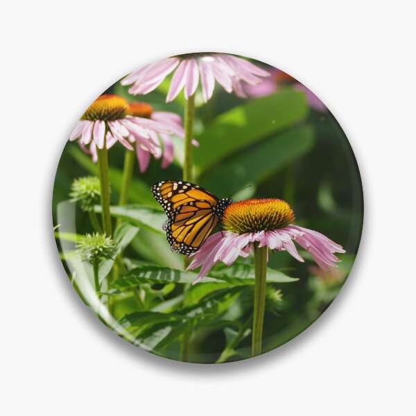 Item preview, monarch on cone flower designed and sold by distracted.