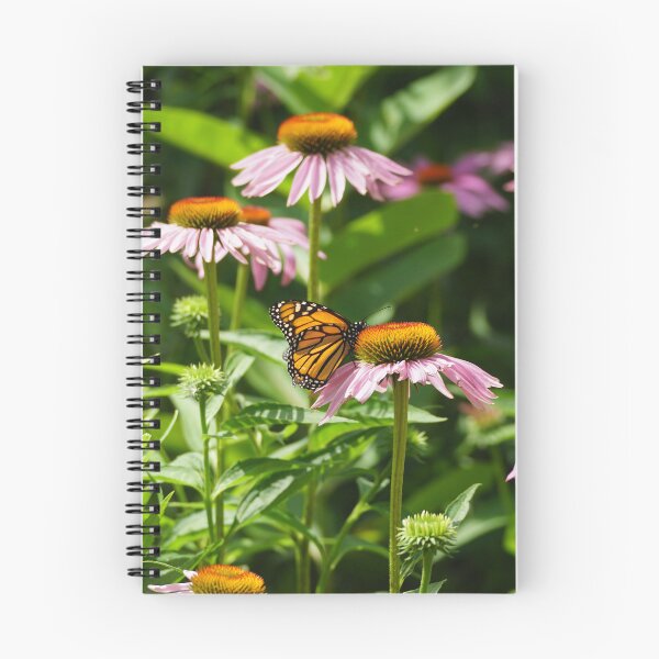 Item preview, monarch on cone flower designed and sold by distracted.