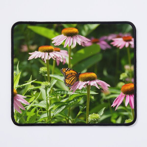Item preview, monarch on cone flower designed and sold by distracted.