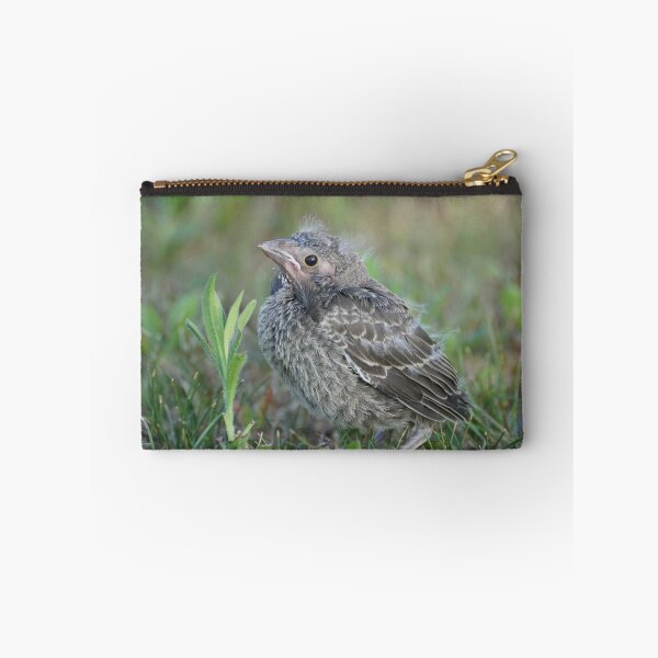 Item preview, fledgling cowbird in grass designed and sold by distracted.