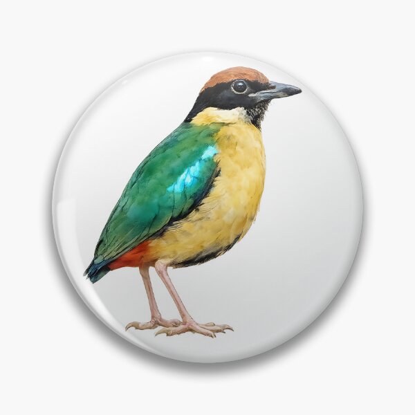 Artikelvorschau, Noisy Pitta Watercolour — Rainforest Bird entworfen und verkauft von Jaruart.