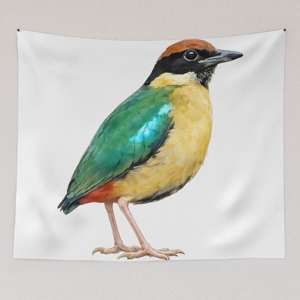 Item preview, Noisy Pitta Watercolour — Rainforest Bird designed and sold by Jaruart.