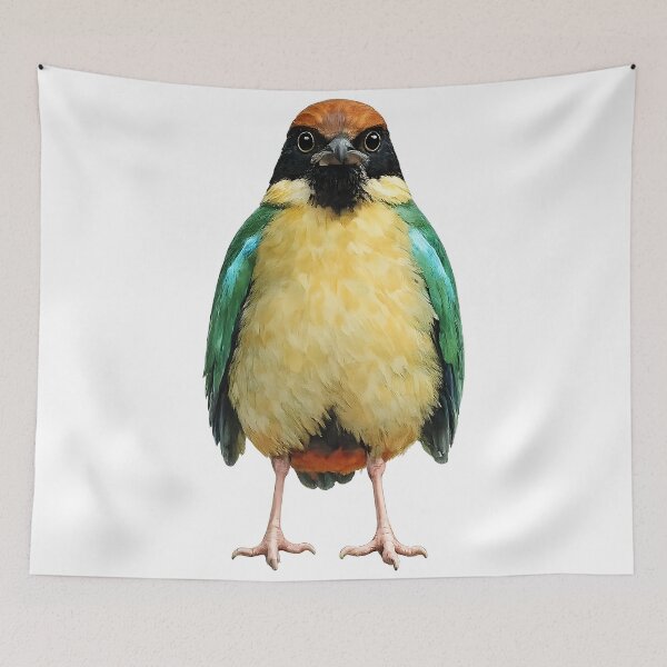 Item preview, Noisy Pitta — Painted Rainforest Jewel designed and sold by Jaruart.