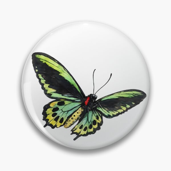 Artikelvorschau, Cairns Birdwing Watercolour Illustration entworfen und verkauft von Jaruart.