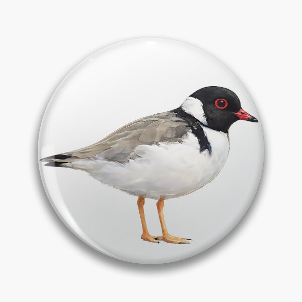 Artikelvorschau, Hooded Plover Watercolour — Australian Beach Bird entworfen und verkauft von Jaruart.