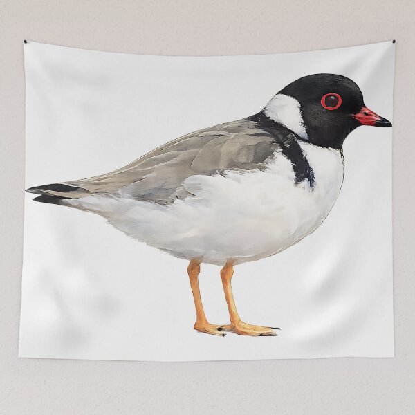 Item preview, Hooded Plover Watercolour — Australian Beach Bird designed and sold by Jaruart.