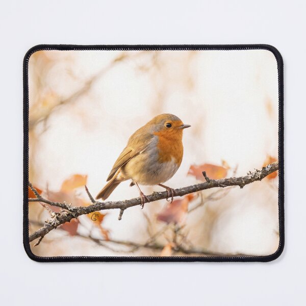 Item preview, Robin, autumn, bird photography, branch designed and sold by Marina Germain.