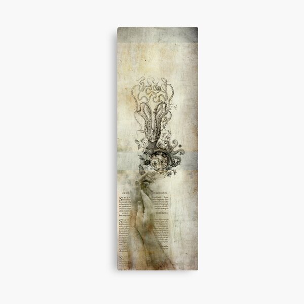 Stella Canvas Print