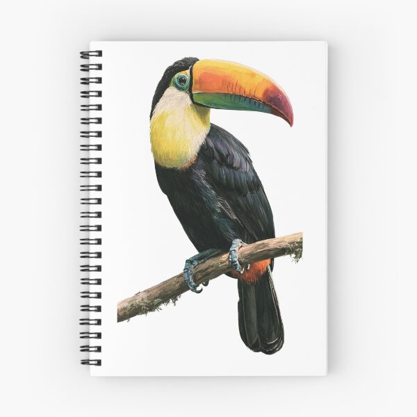 Item preview, Toucan Art designed and sold by Sketch-Shack.