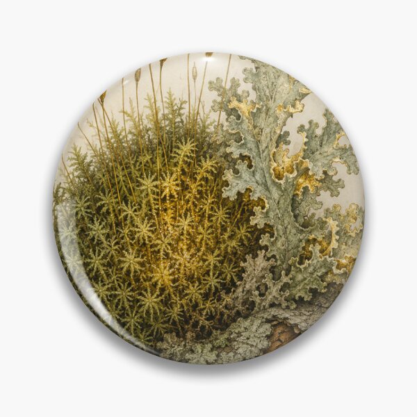 Item preview, Moss & Lichen | Woodland Botanical Specimen Art | Forest Bathing Gift designed and sold by Brackenlume Studio.
