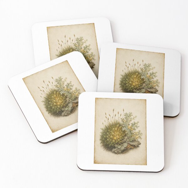 Item preview, Moss & Lichen | Woodland Botanical Specimen Art | Forest Bathing Gift designed and sold by Brackenlume Studio.