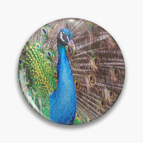 Item preview, Majestic Peacock Portrait designed and sold by NorthWild.