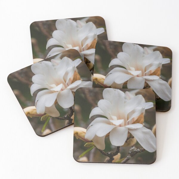 Item preview, Magnolia Blossom designed and sold by NorthWild.