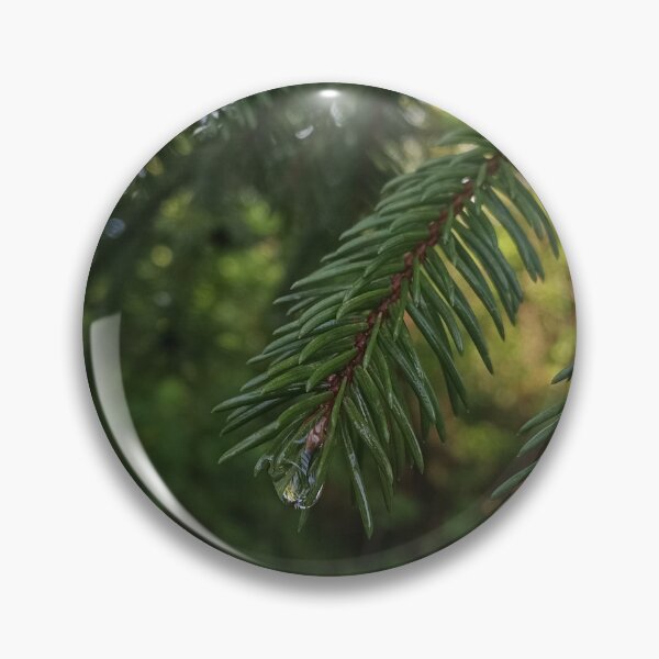 Item preview, Pine Branches Pine Needles Forest Nature Photography designed and sold by Nature Moments.