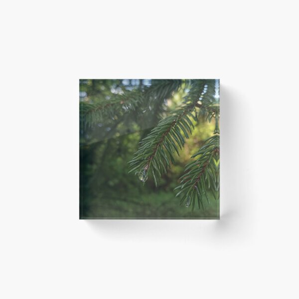 Item preview, Pine Branches Pine Needles Forest Nature Photography designed and sold by Nature Moments.