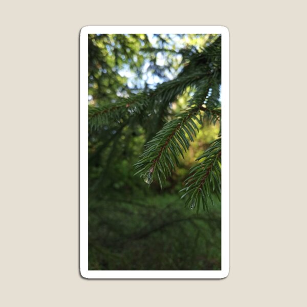 Item preview, Pine Branches Pine Needles Forest Nature Photography designed and sold by Nature Moments.