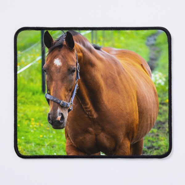 Item preview, Graceful Horse Portrait designed and sold by NorthWild.