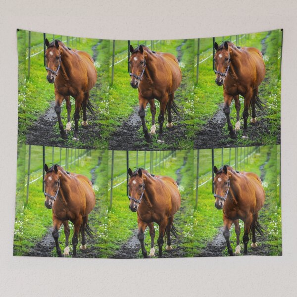 Item preview, Graceful Horse Portrait designed and sold by NorthWild.