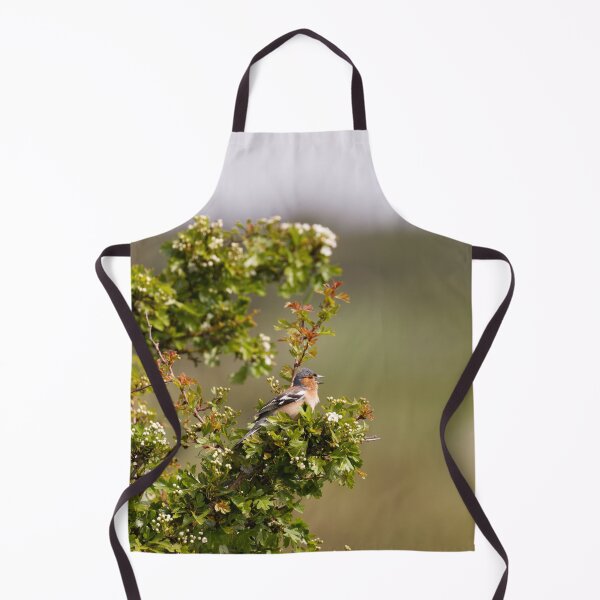 Item preview, A chatty male Bullfinch in Gower designed and sold by TomRomanPhotos.