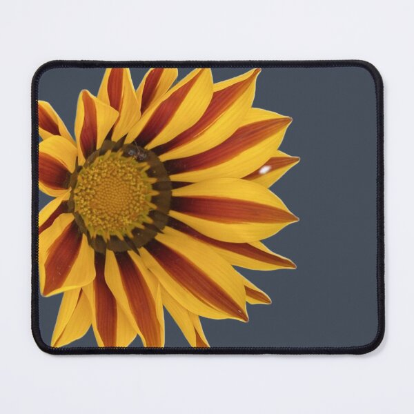 Item preview, Bold Yellow and Orange Striped Gazania Flower Cutout designed and sold by BalkanBloom.