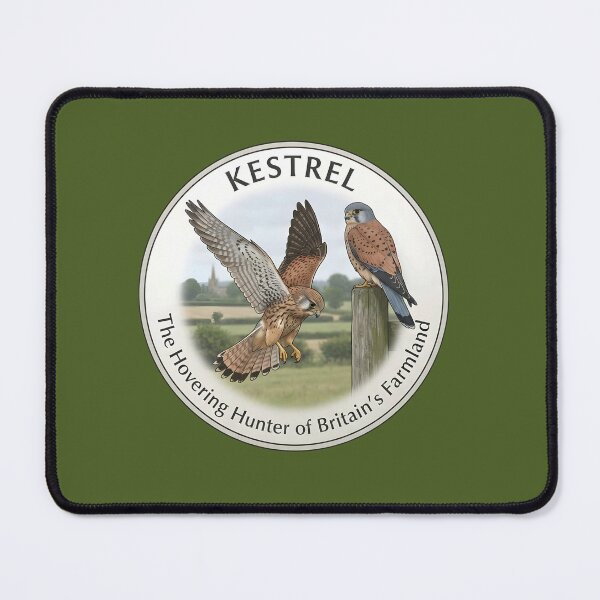 Item preview, KESTREL – The hovering hunter Britain's farmlands designed and sold by The Digital Compass.
