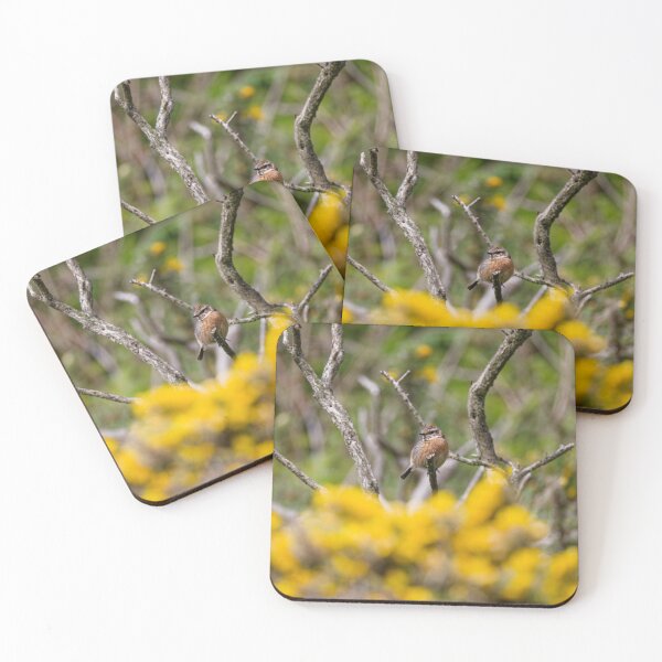 Item preview, A female Stonechat in Gower designed and sold by TomRomanPhotos.